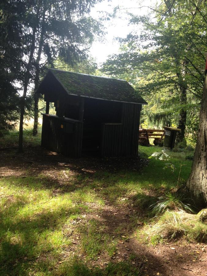Ferienwohnung "Rodelnde Geiss" Mit Schwimmbad Braunlage Exterior photo